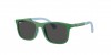 RJ9084S Sunglasses