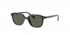 RJ9093S Junior Leonard Sunglasses
