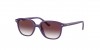 RJ9093S Junior Leonard Sunglasses