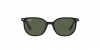 RJ9097S Junior Elliot Sunglasses