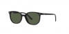 RJ9097S Junior Elliot Sunglasses