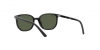 RJ9097S Junior Elliot Sunglasses