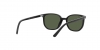RJ9097S Junior Elliot Sunglasses