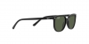 RJ9097S Junior Elliot Sunglasses