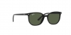 RJ9097S Junior Elliot Sunglasses