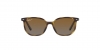 RJ9097S Junior Elliot Sunglasses