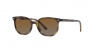 RJ9097S Junior Elliot Sunglasses