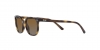 RJ9097S Junior Elliot Sunglasses
