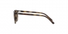 RJ9097S Junior Elliot Sunglasses