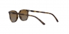 RJ9097S Junior Elliot Sunglasses