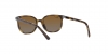 RJ9097S Junior Elliot Sunglasses