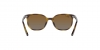 RJ9097S Junior Elliot Sunglasses