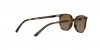 RJ9097S Junior Elliot Sunglasses
