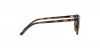 RJ9097S Junior Elliot Sunglasses