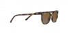 RJ9097S Junior Elliot Sunglasses