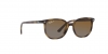 RJ9097S Junior Elliot Sunglasses