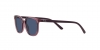 RJ9097S Junior Elliot Sunglasses
