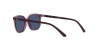 RJ9097S Junior Elliot Sunglasses