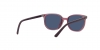 RJ9097S Junior Elliot Sunglasses