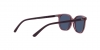 RJ9097S Junior Elliot Sunglasses
