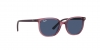 RJ9097S Junior Elliot Sunglasses