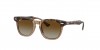 RJ9098SF Sunglasses