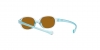 RJ9187S Sunglasses