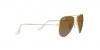 RJ9506S Junior Aviator Sunglasses