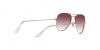 RJ9506S Junior Aviator Sunglasses