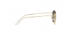 RJ9547S Junior Round Sunglasses