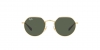 RJ9565S Junior Jack Sunglasses