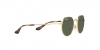 RJ9565S Junior Jack Sunglasses