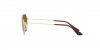 RJ9565S Junior Jack Sunglasses