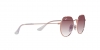 RJ9565S Junior Jack Sunglasses