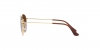 RJ9572S Junior Rob Sunglasses