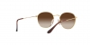 RJ9572S Junior Rob Sunglasses