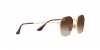 RJ9572S Junior Rob Sunglasses