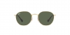RJ9572S Junior Rob Sunglasses