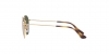 RJ9572S Junior Rob Sunglasses
