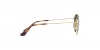 RJ9572S Junior Rob Sunglasses