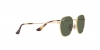 RJ9572S Junior Rob Sunglasses