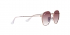 RJ9572S Junior Rob Sunglasses