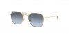 RJ9594S Sunglasses