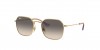RJ9594S Sunglasses