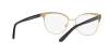 RL5099 Eyeglasses