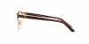 RL5099 Eyeglasses