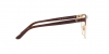 RL5099 Eyeglasses