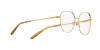 RL5120 Eyeglasses