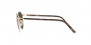 RL7076 Sunglasses