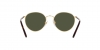 RL7076 Sunglasses